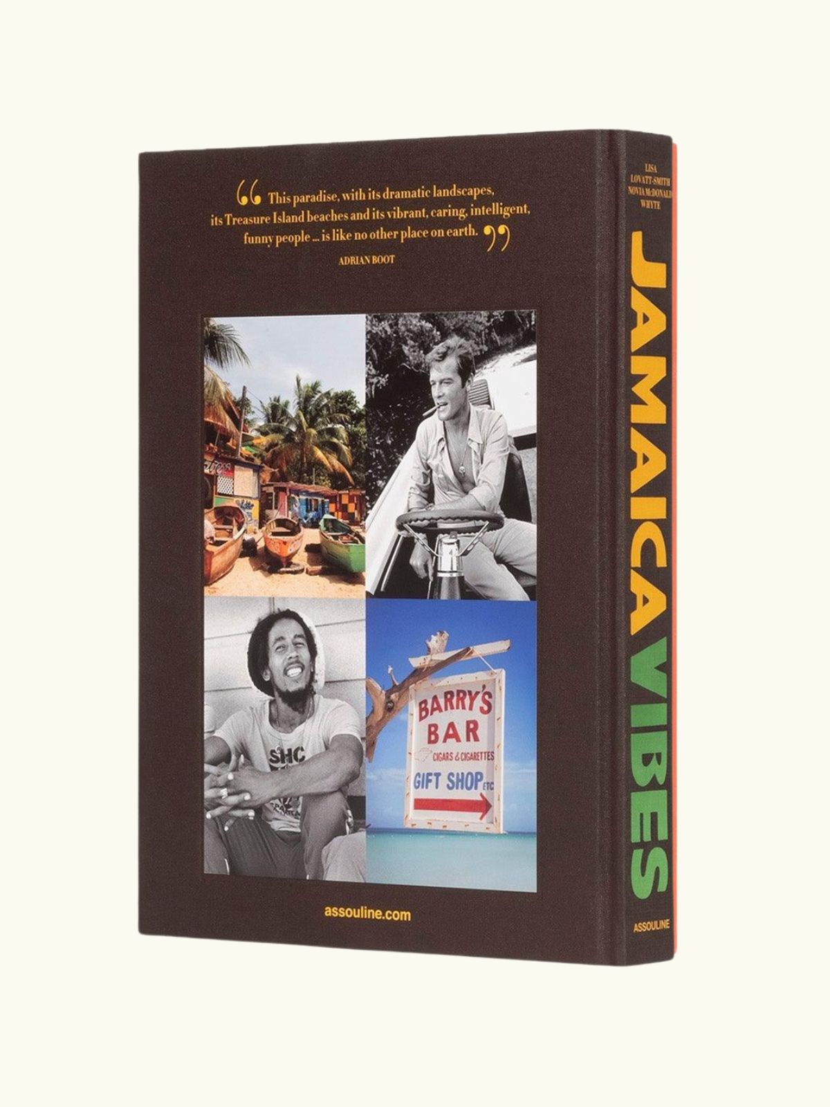 Jamaica Vibes Book
