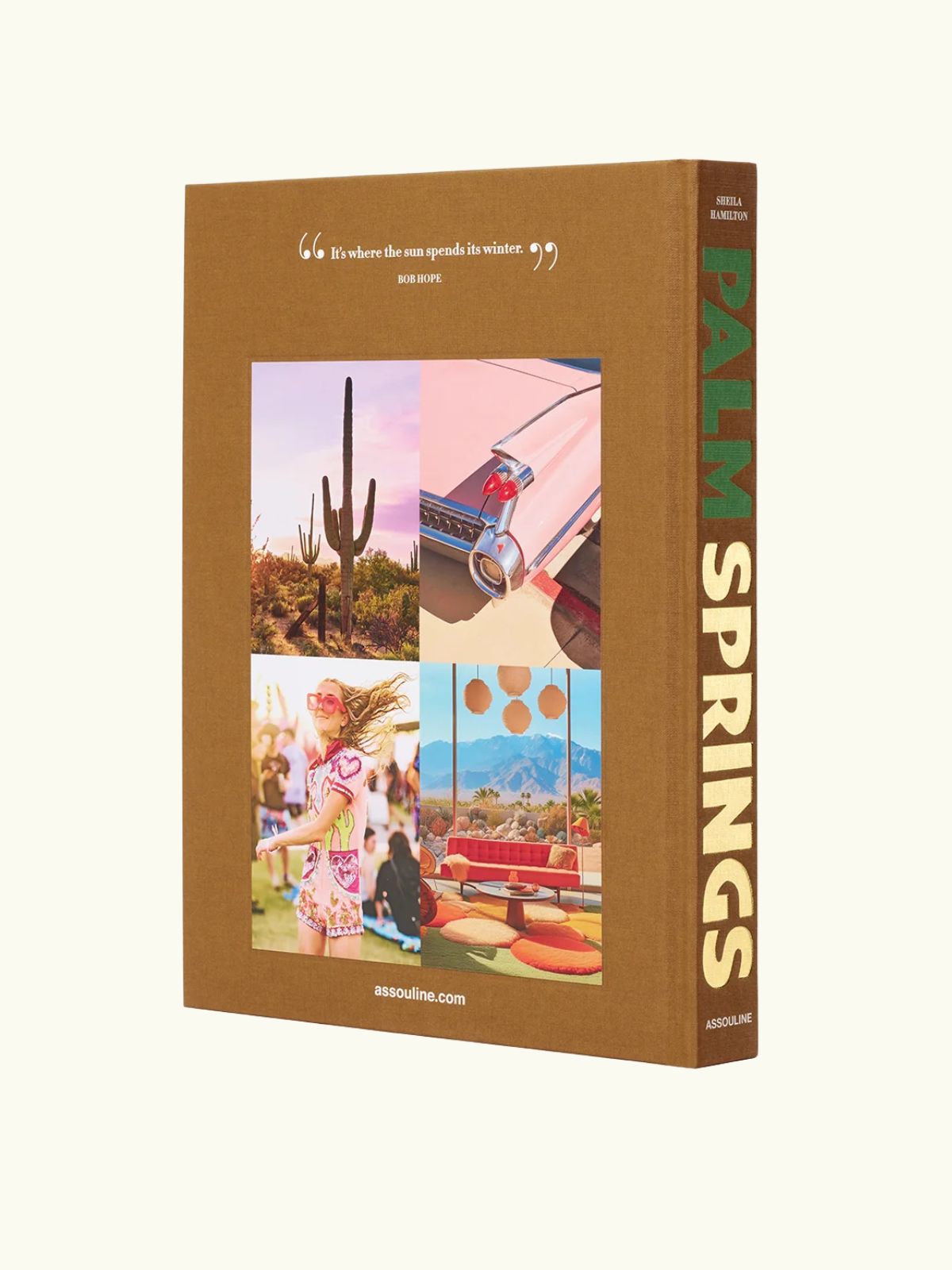 Palm Springs Book