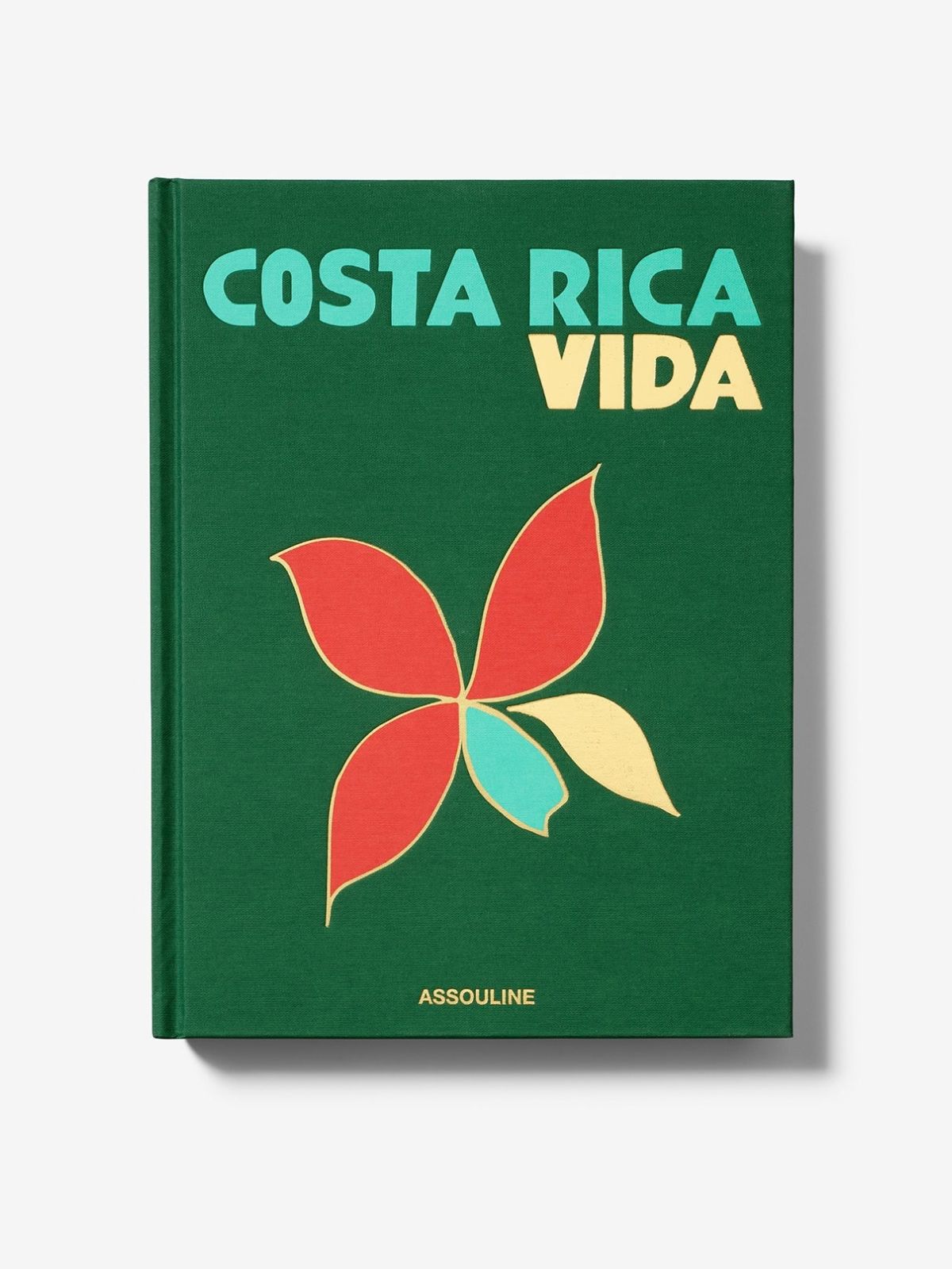 Costa Rica Vida Book