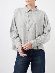 color:STRIPE