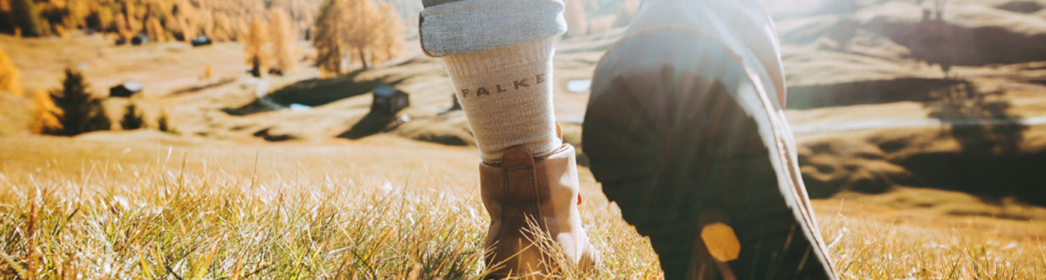 Falke