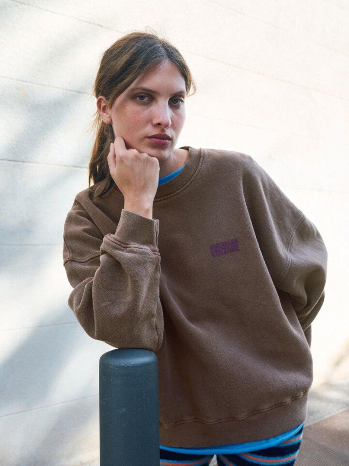 Plizzy Sweatshirt - Vintage Chestnut