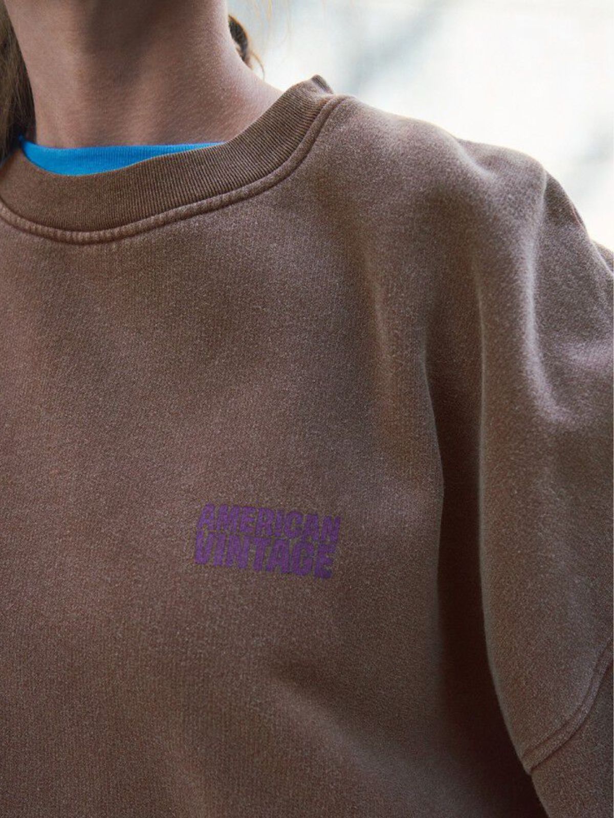 Plizzy Sweatshirt - Vintage Chestnut