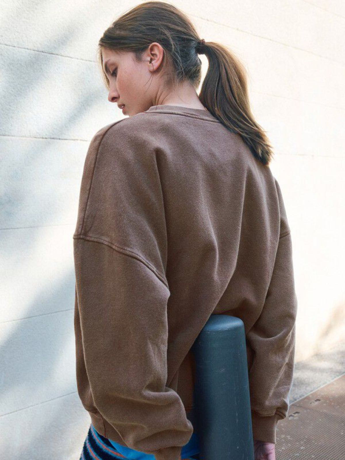 Plizzy Sweatshirt - Vintage Chestnut