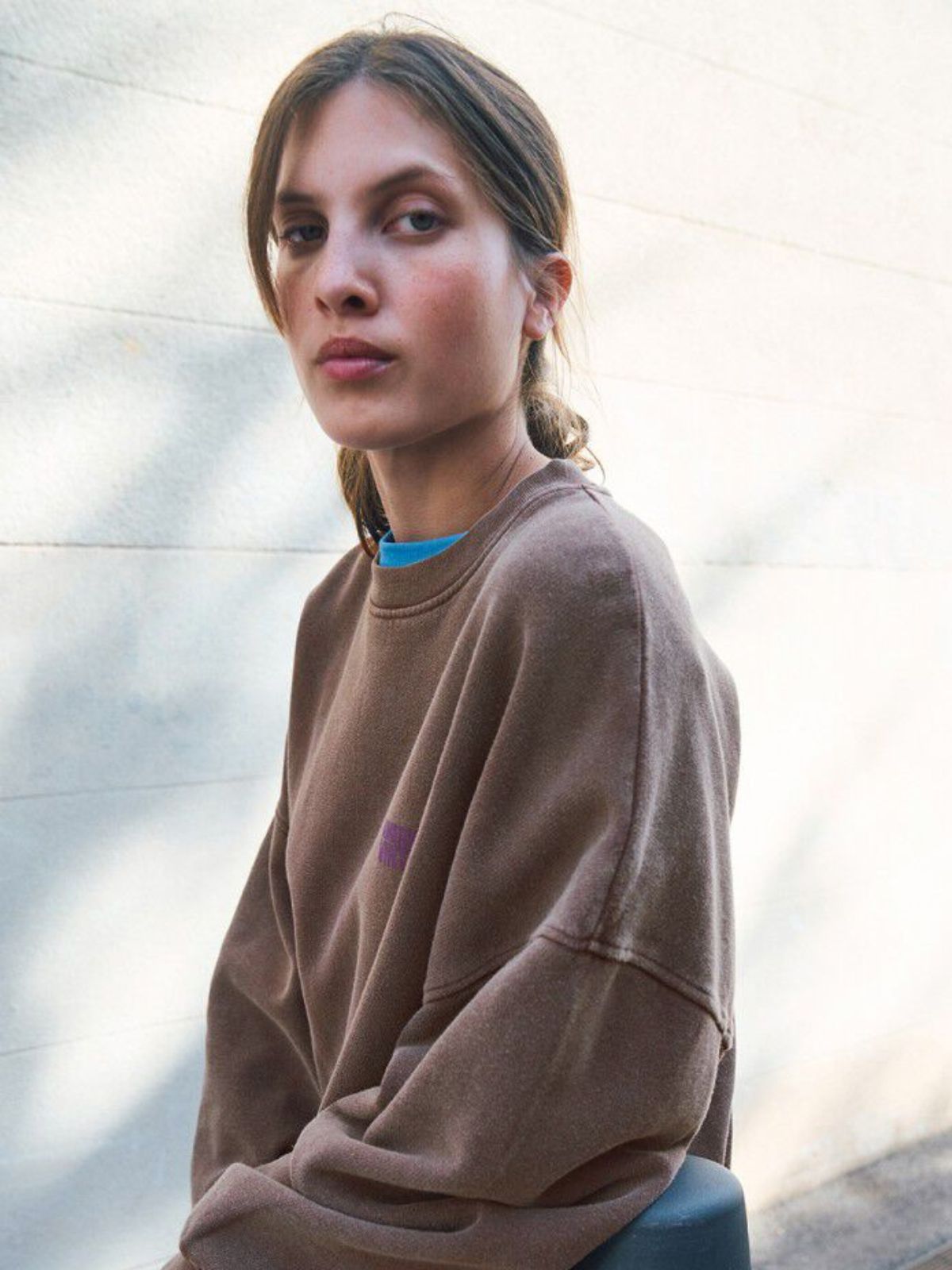 Plizzy Sweatshirt - Vintage Chestnut