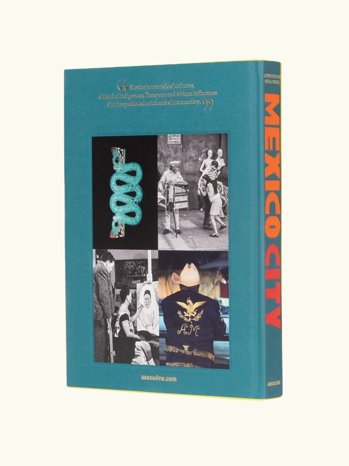 Mexico City Book