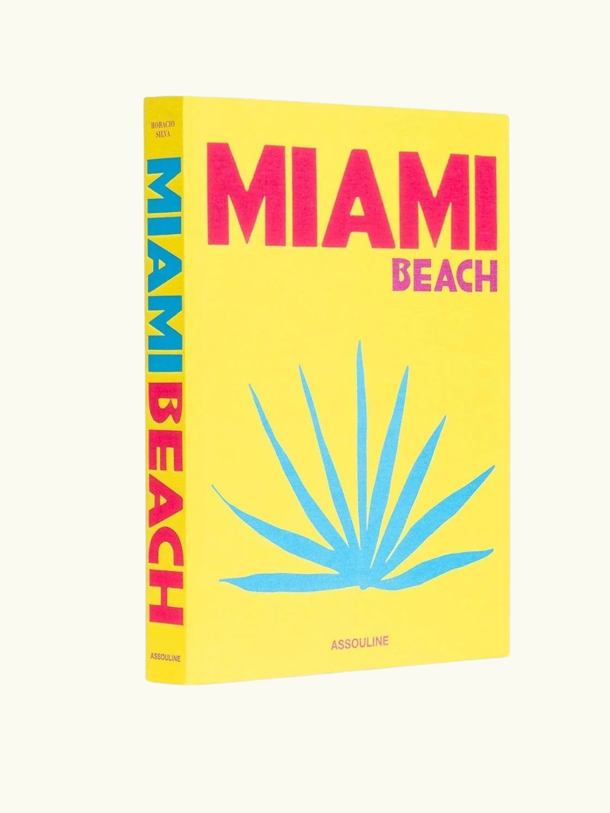 Miami Beach Book