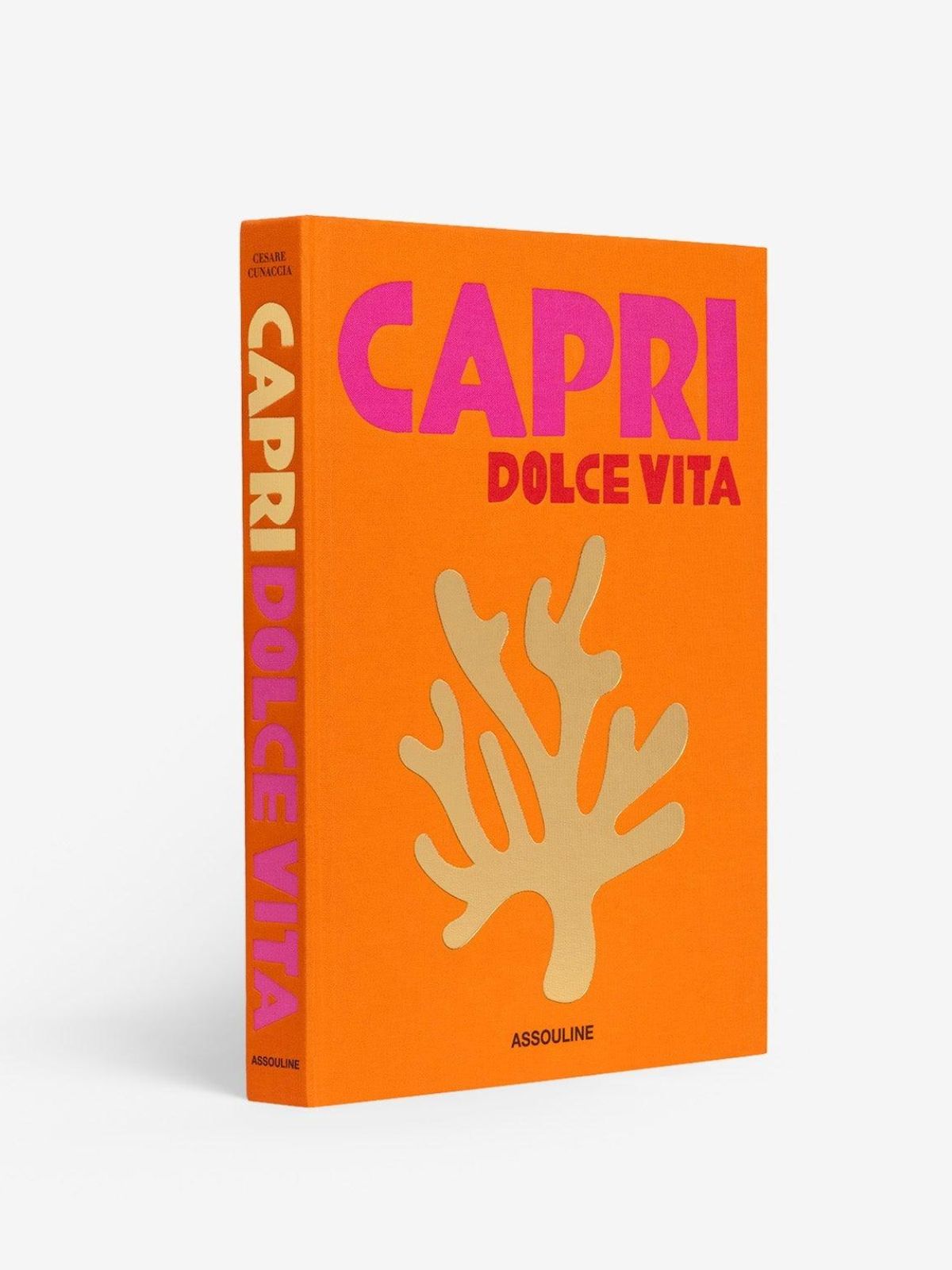Capri Dolce Vita Book