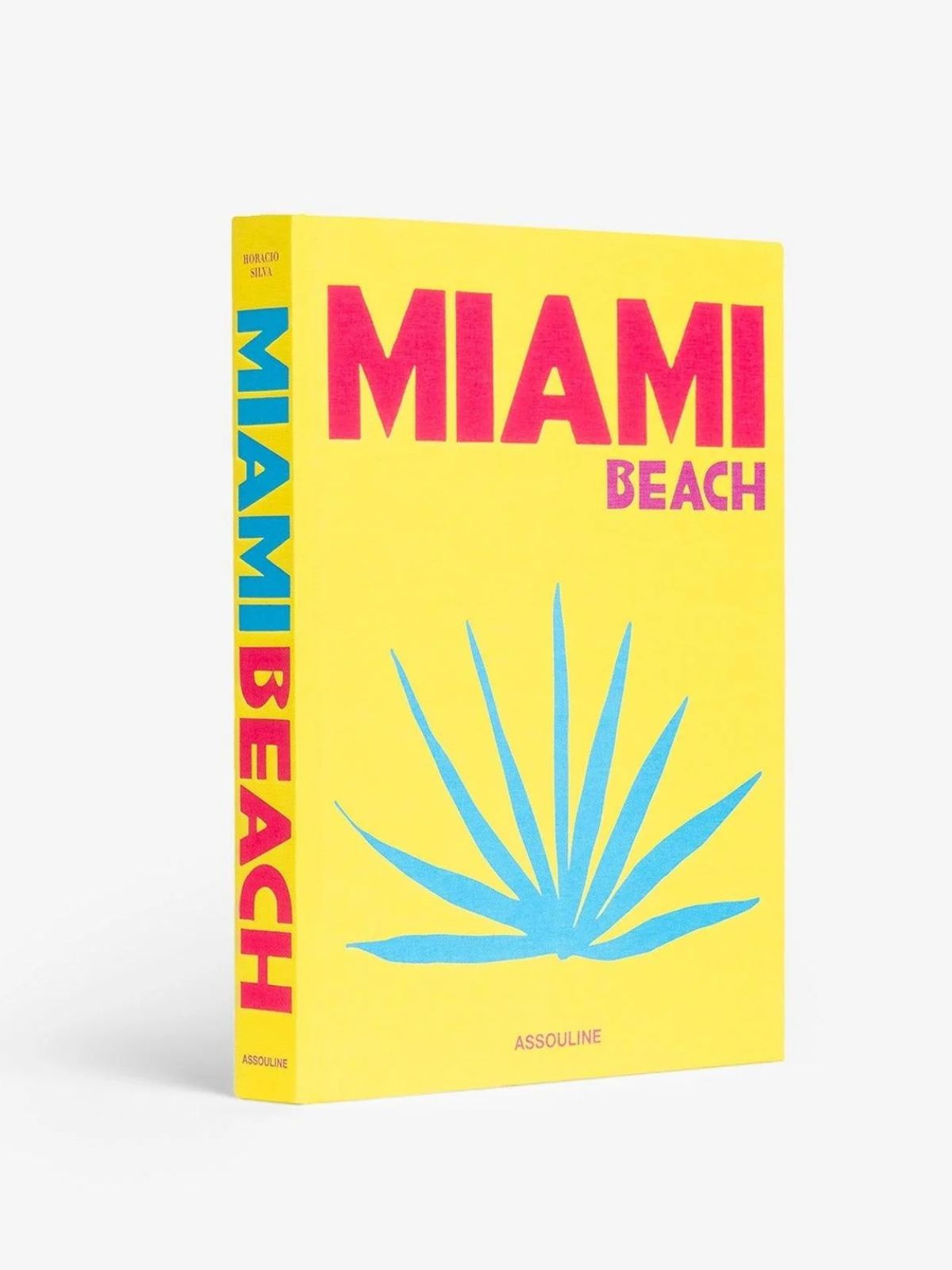 Miami Beach Book