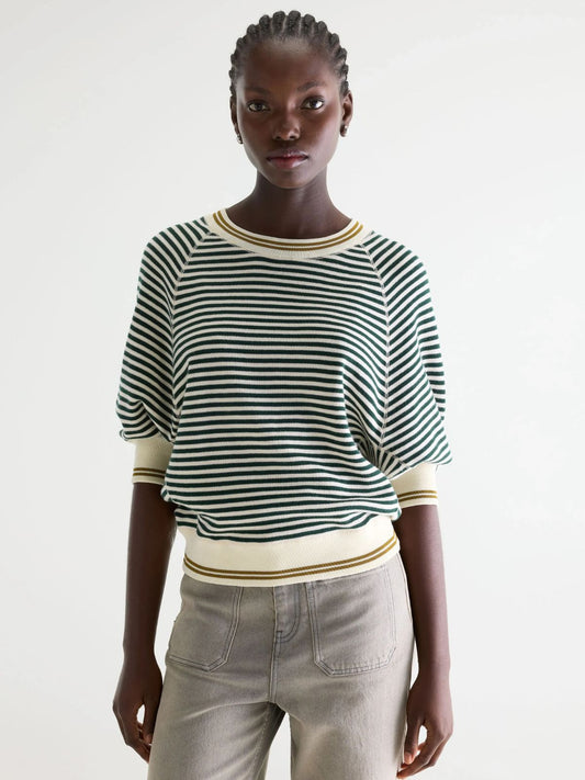 Anglet Stripe Knit - Dark Green