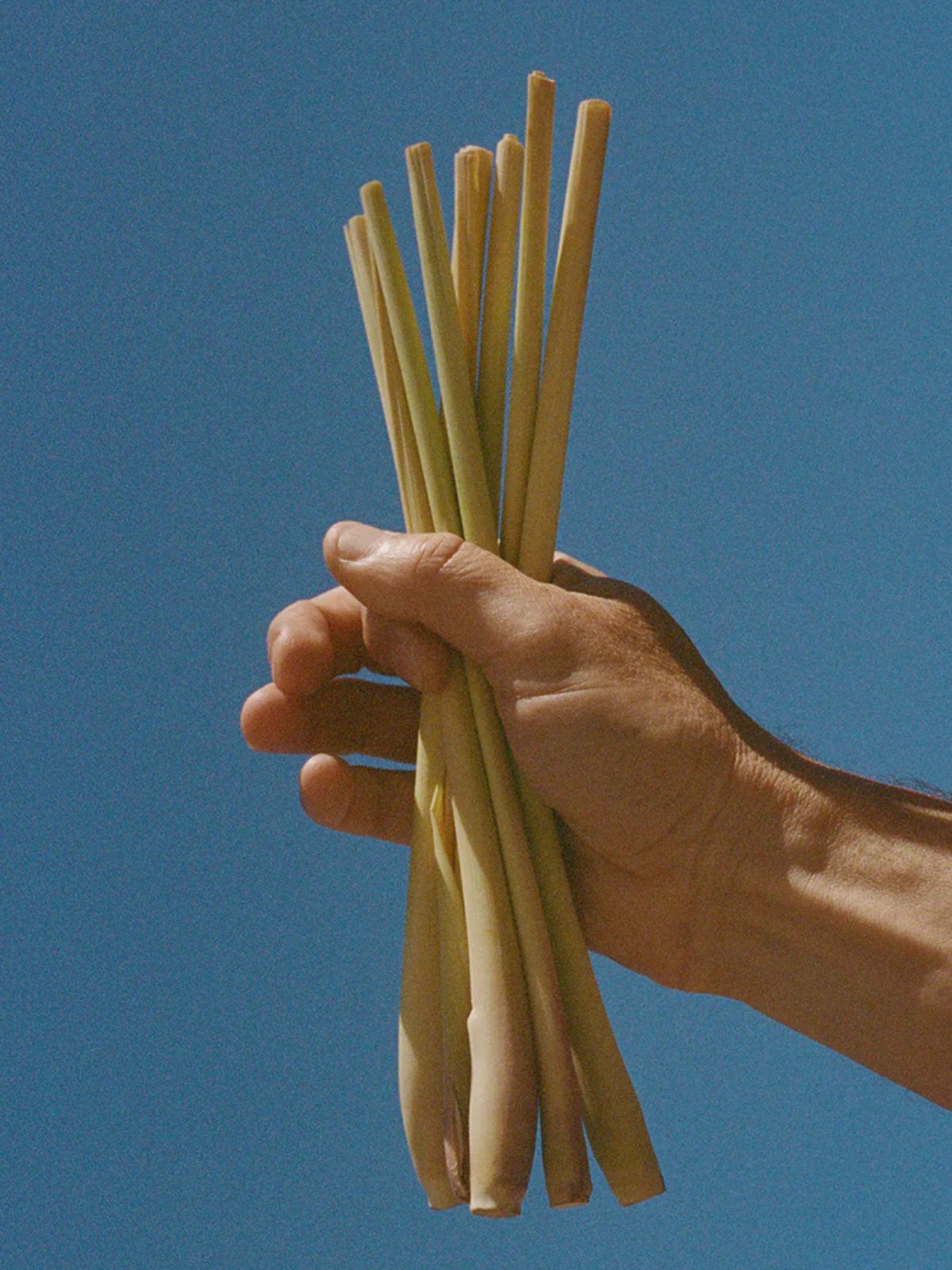 Hand & Body Wash - Lemongrass - 450 ml