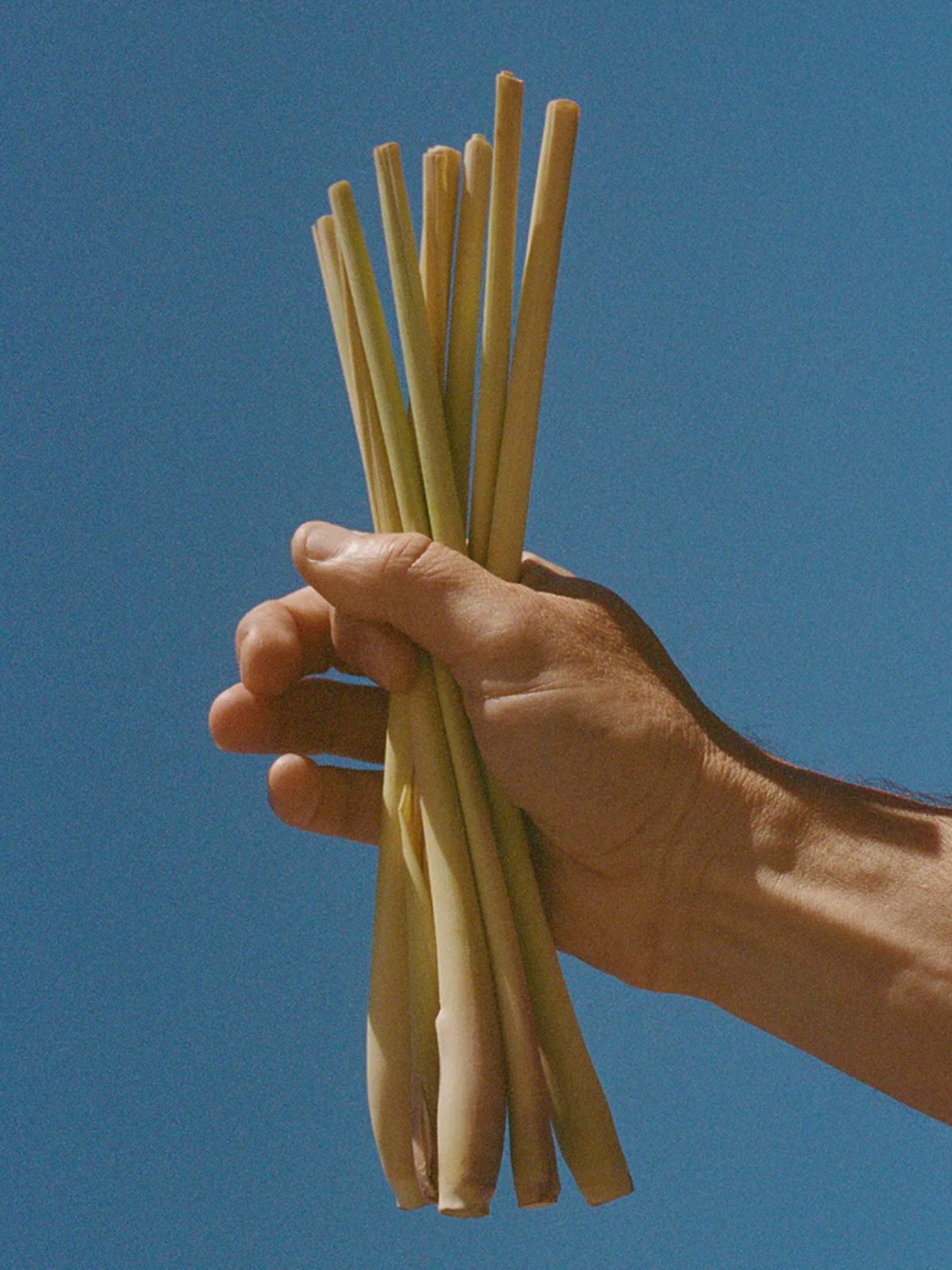 Body Oil  - Lemongrass - 120 ml