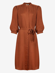 color:BROWN